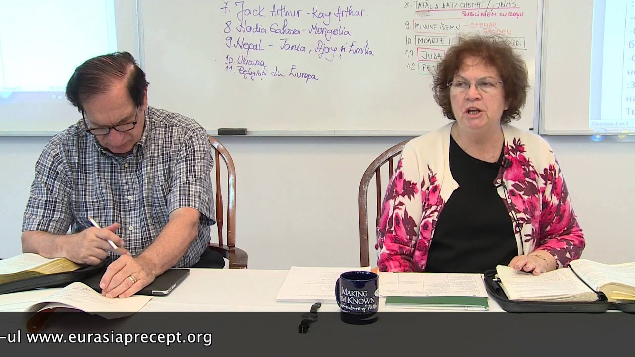 Foaia de observare, capitolul 1 | Lecția 3