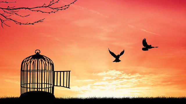 Libertatea de-a alege | de Costel Oglice