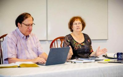 Mia Costel Oglice principii de lider