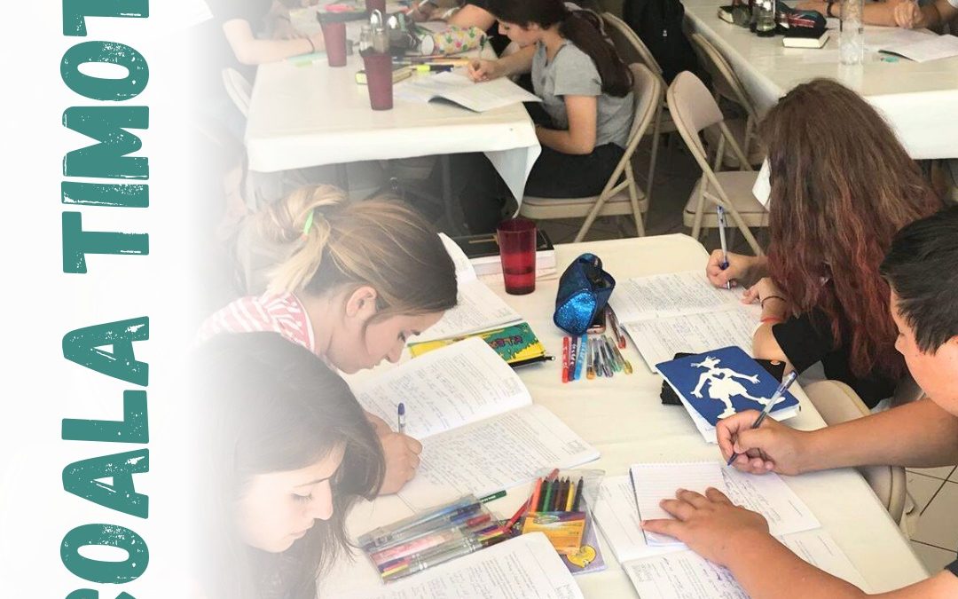 Școala Timotei, este un proiect din cadrul Institutului Precept dedicat adolescenților