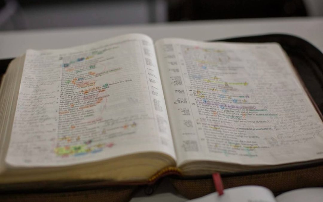 Iubește pe fratele său nu cu vorba, ci cu fapta și cu adevărul – Costel Oglice