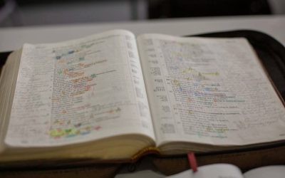 Iubește pe fratele său nu cu vorba, ci cu fapta și cu adevărul – Costel Oglice