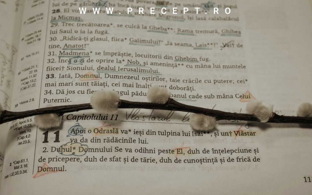 Promisiunea unui Mântuitor din seminția lui David