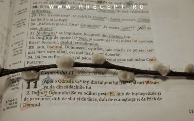 Promisiunea unui Mântuitor din seminția lui David