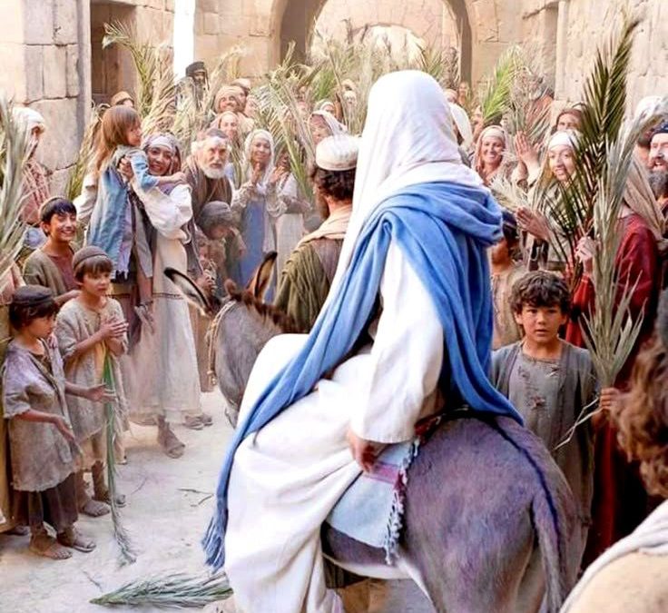 Dar toate aceste lucruri s-au întâmplat ca să se împlinească ce fusese vestit